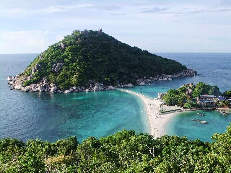 主人带4只金毛买菜,每个嘴里叼个篮子,主人出够了风头!